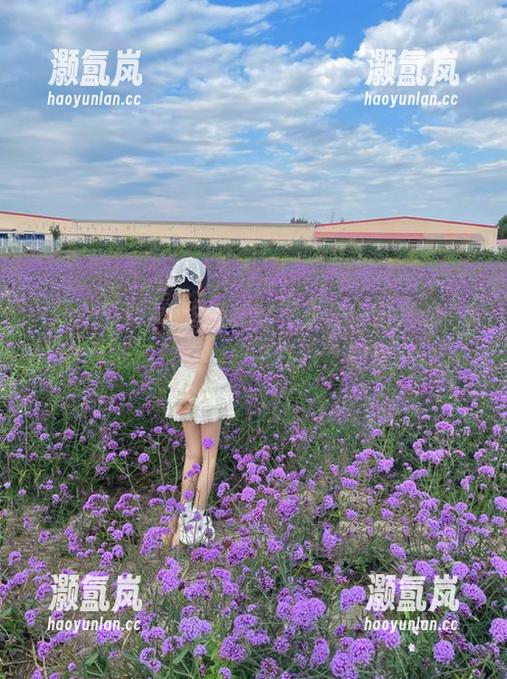 这波操作不只是一时兴起，51吃瓜群众给我带来永久的爽！