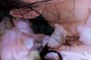“吃瓜网址”发布后，教大家在哪看瓜，结果我变成了“坐等瓜熟”的资深玩家…