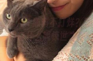51黑料不打烊？观看后我才明白什么叫惊世之作