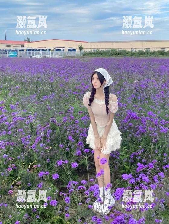 黑料正能量 直达安卓的黑料正能量:各种八卦不断更新,摸着屏幕的手,一直在颤抖!
